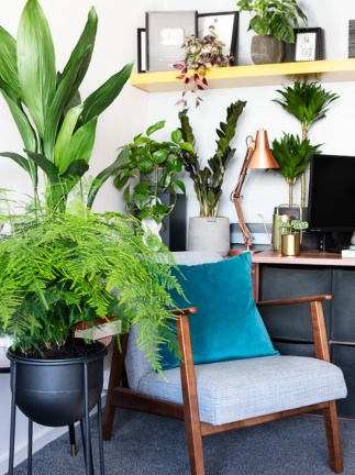 Add Personality to Your Workspace with Plants and Other Items