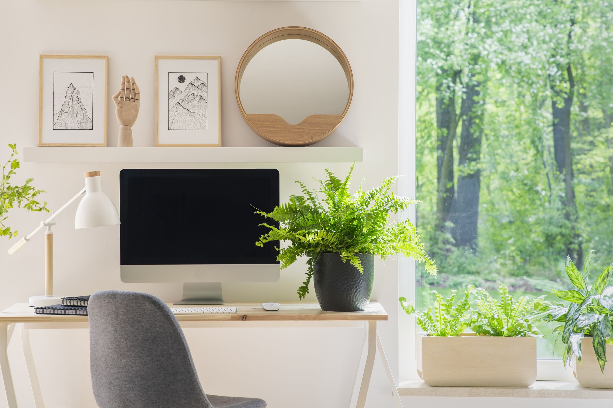Low-maintenance indoor plants are a great way to warm up your office and work environment
