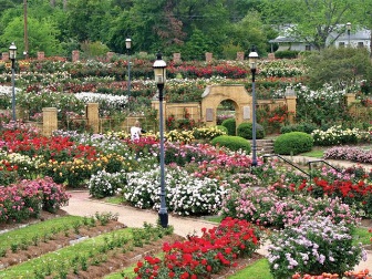 Tyler Texas Rose Gardens