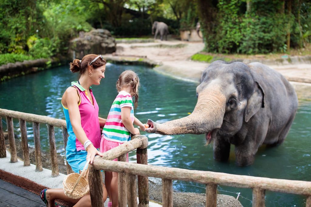 The 15 Best Zoos in the World