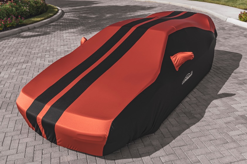 An expensive car under a custom cover