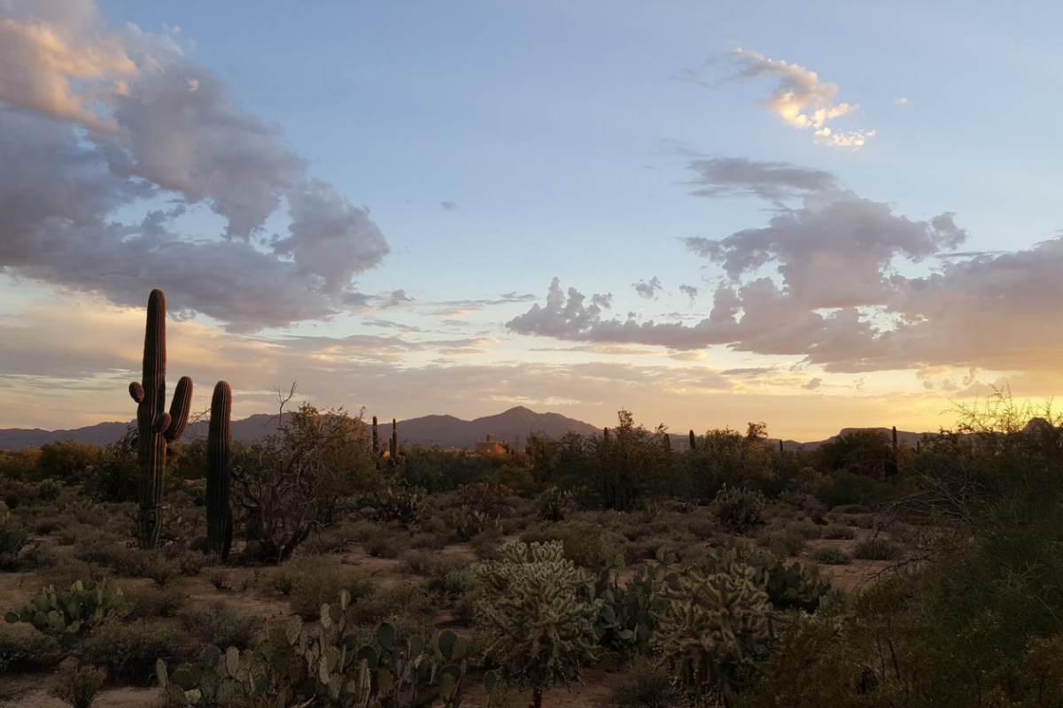 Best Hiking Trails in Phoenix Arizona