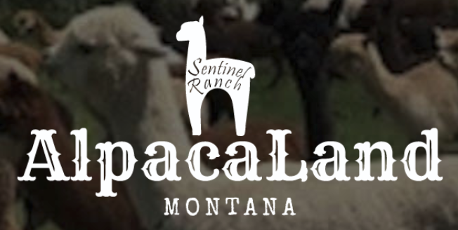 AlpacaLand Montana