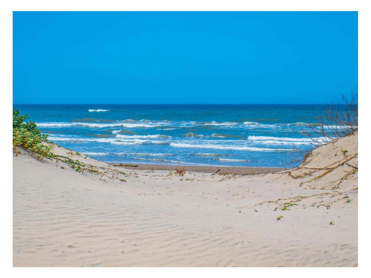 Sand and Surf Beach Fun at Padre Island National Seashore