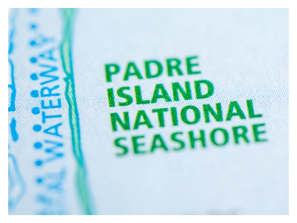 The Seashore of Padre Island National Park