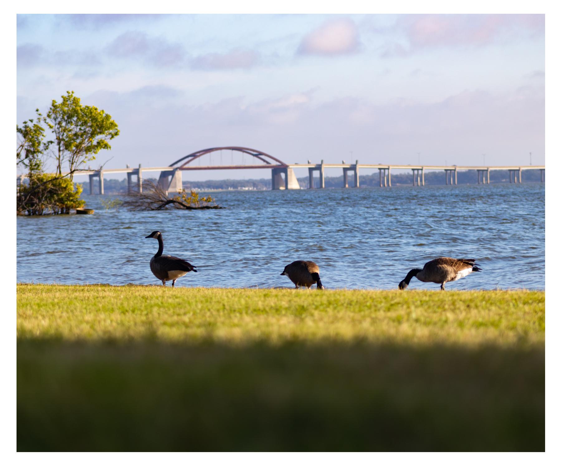 Boating Destination Near Dallas Texas