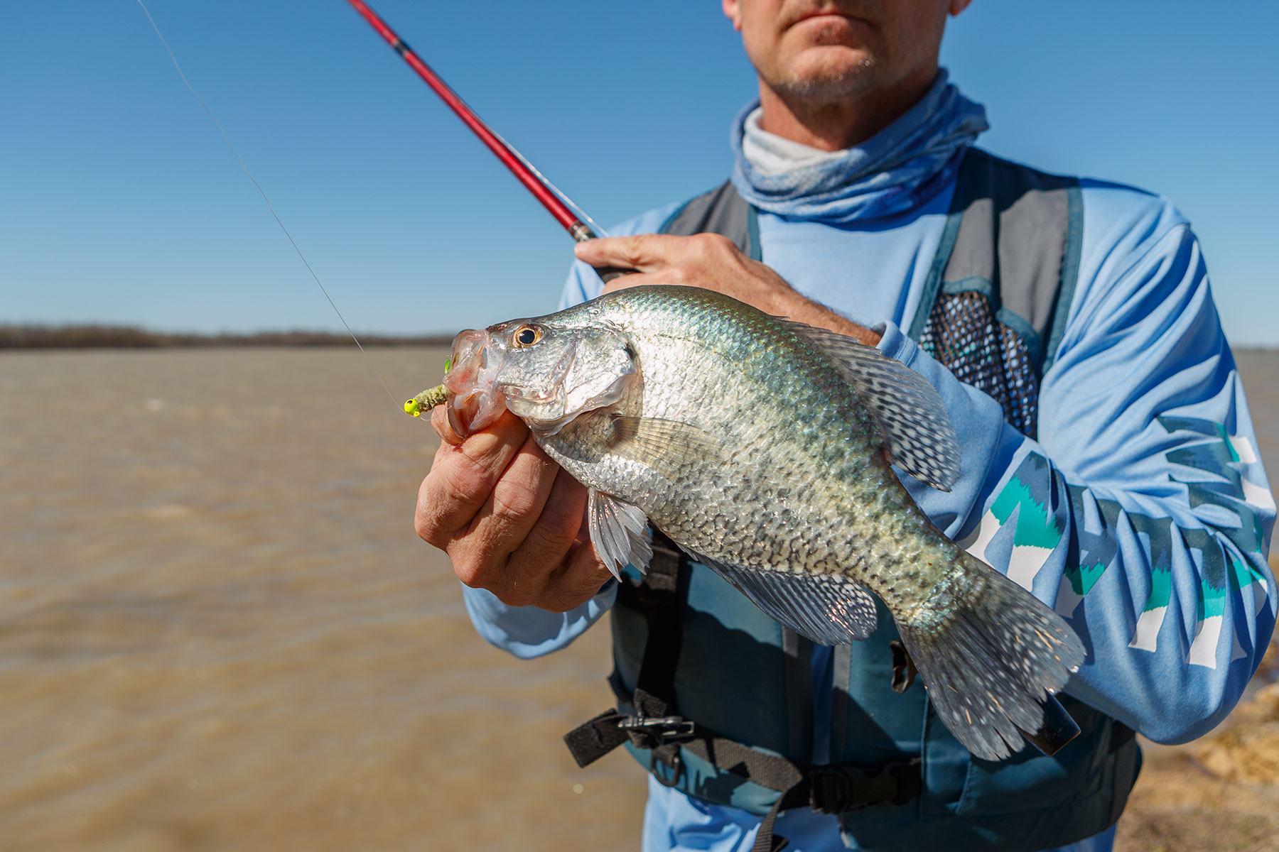 Pronounce this popular anglers’ quarry incorrectly (it’s KROP-ee) and you may get the wrong idea about crappie. Tasty and tenacious, this panfish is plentiful around the state.