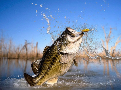 Five best fishing holes in Texas