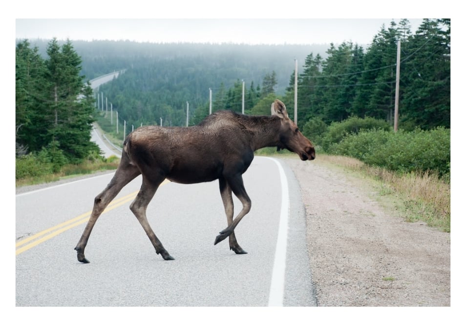 Carefree Covered RVing in Canada 