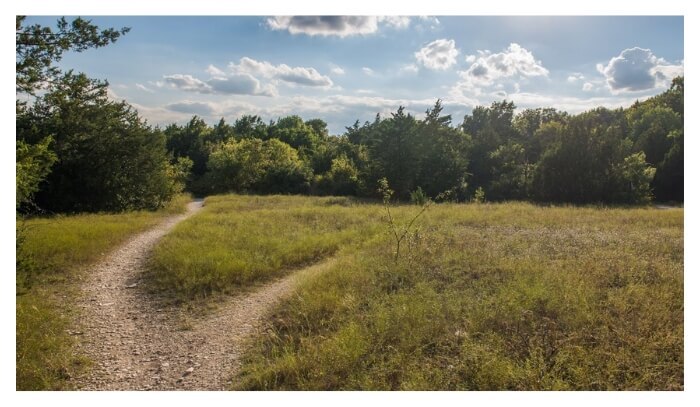 A dirt road in a field

Description automatically generated with low confidence