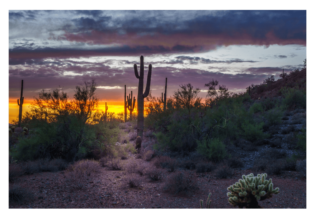 Best Hiking Trails for Beginners and Experts to Explore Near Phoenix ...