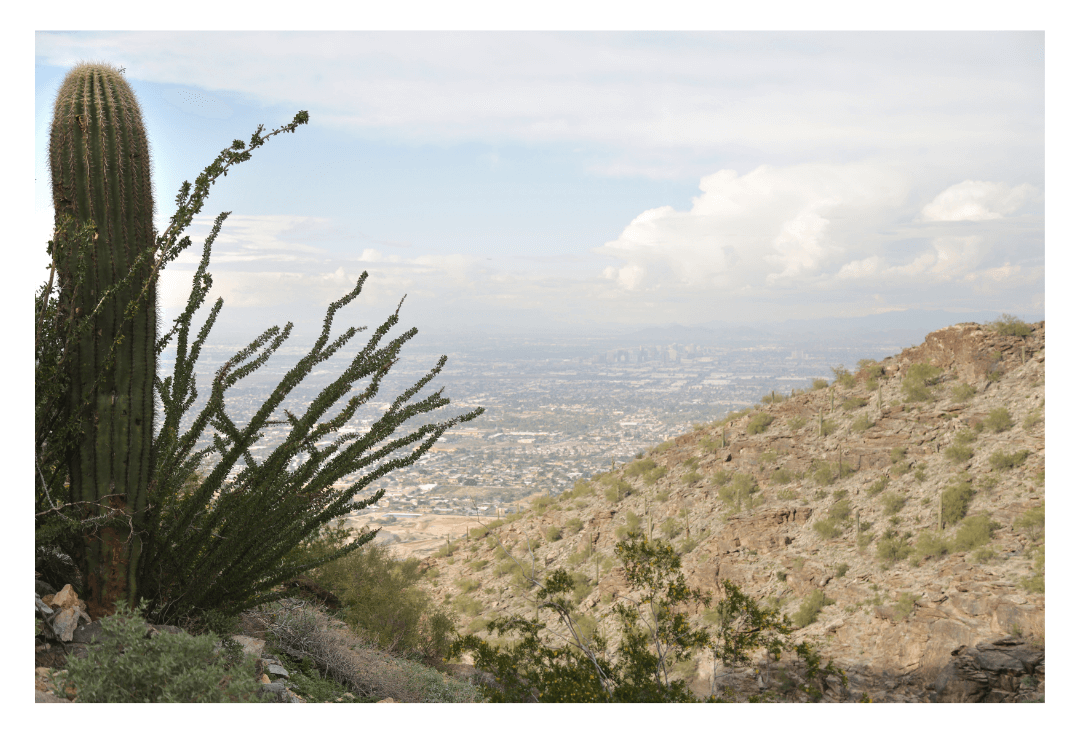 Best Phoenix, AZ Hiking Trails For Casual Walks & Beginners