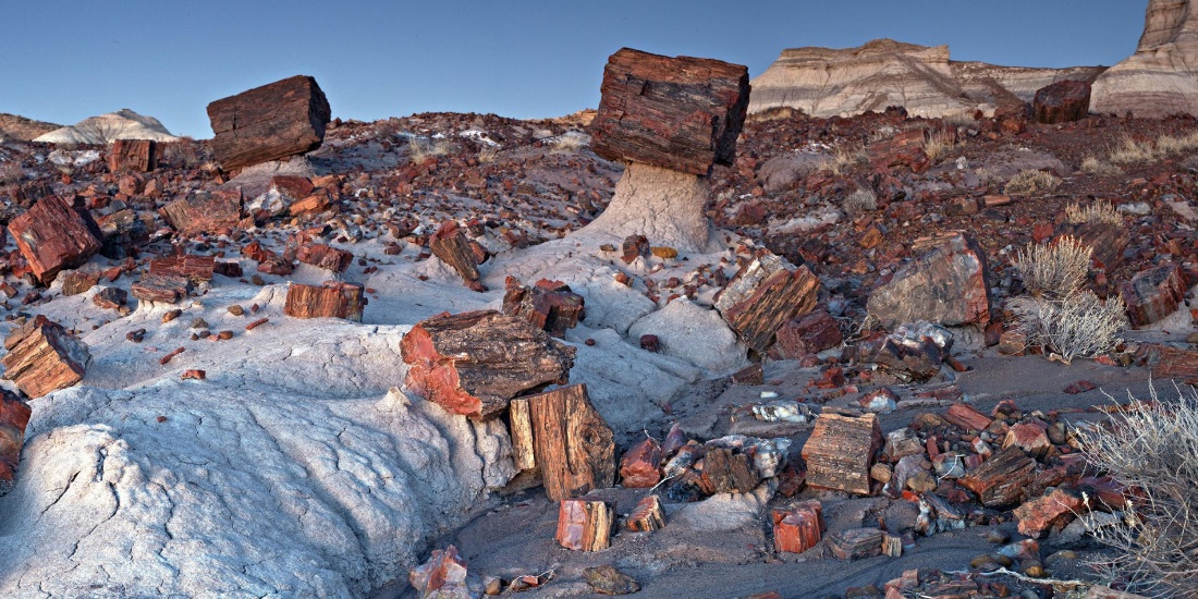 A picture of Petrified Forest National Park in Arizona